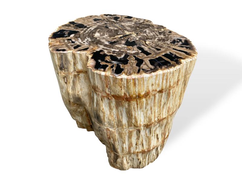 JUWEL HOCKER AUS VERSTEINERTEM HOLZ GRIMAUD