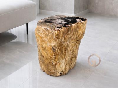 PEÇA DECORATIVA DE FUSTA PETRIFICADA GASSIN