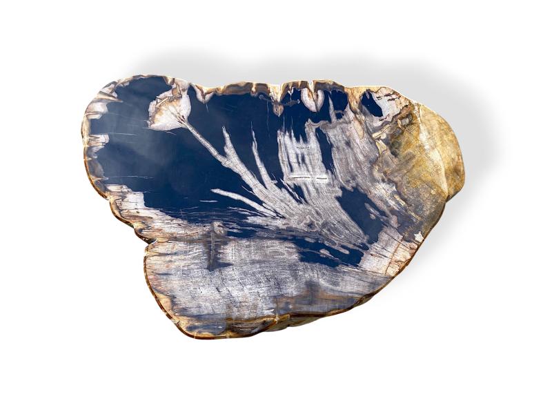 PEÇA DECORATIVA DE FUSTA PETRIFICADA GASSIN