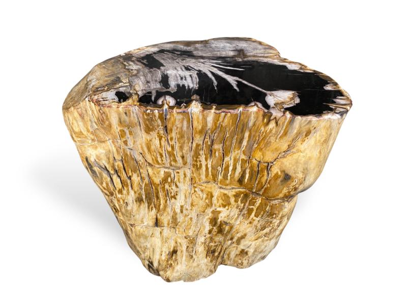 DEKORATIVES OBJEKT AUS VERSTEINERTEM HOLZ GASSIN