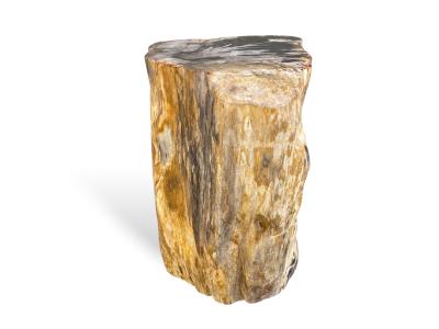PIECE DECORATIVE EN BOIS PETRIFIE GASSIN