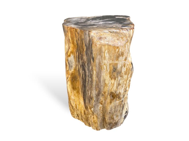 DECORATIVE PIECE IN PETRIFIED WOOD GASSIN