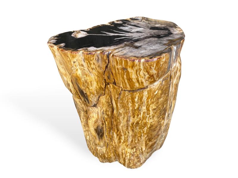 DEKORATIVES OBJEKT AUS VERSTEINERTEM HOLZ GASSIN