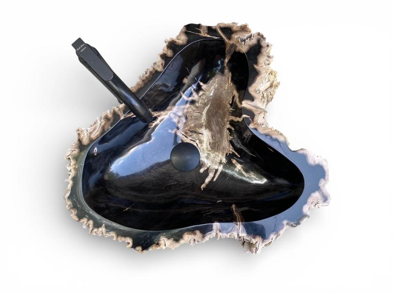 FOSSILIZED WOODEN WASHBASIN TOULOUSE