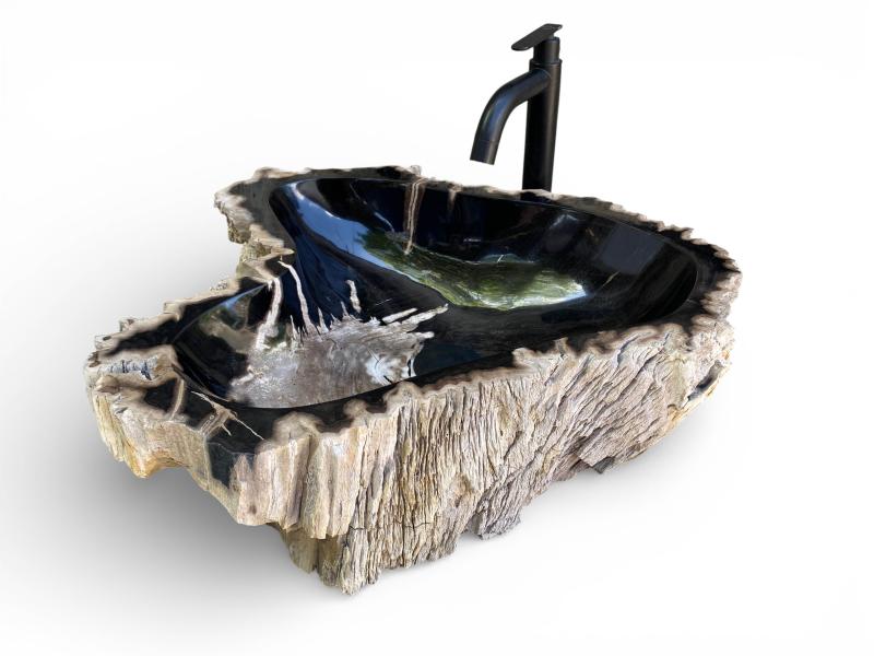 FOSSILIZED WOODEN WASHBASIN TOULOUSE