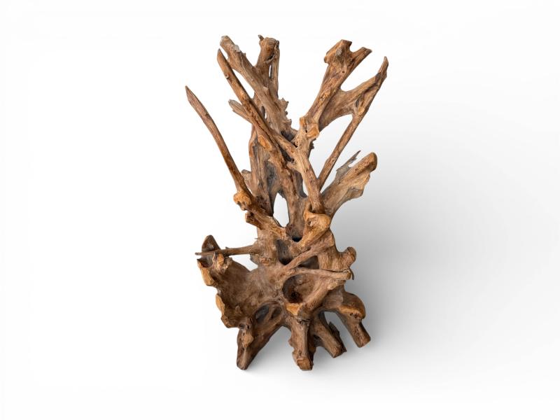 WOOD SCULPTURE ZENIA