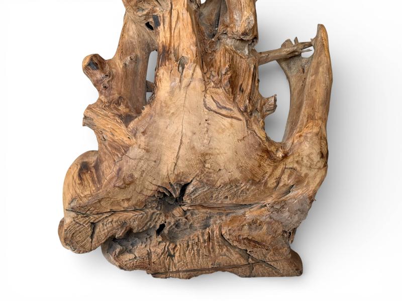 ESCULTURA DE RAIZ TECA ZENIA