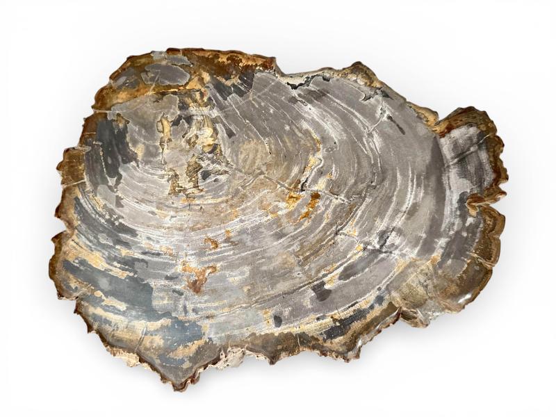 TAMBORET SOLID DE FUSTA PETRIFICADA NAXOS