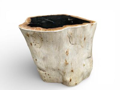 SGABELLO IN LEGNO FOSSILE CON FINITURA LUCIDA LUX