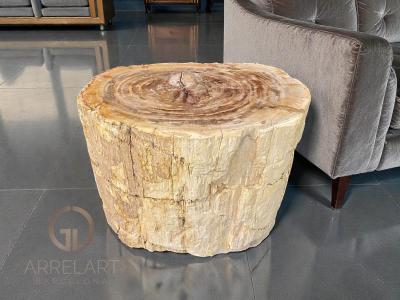 VERSTEINERTER HOLZ DEKORATIVER TISCH NETTUNO