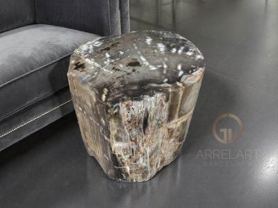 TAVOLINO IN LEGNO FOSSILIZZATO CROWN
