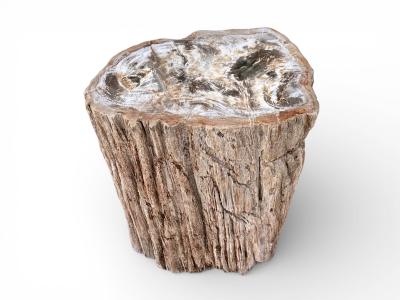 MESITA DE MADERA FOSILIZADA BLANCHE