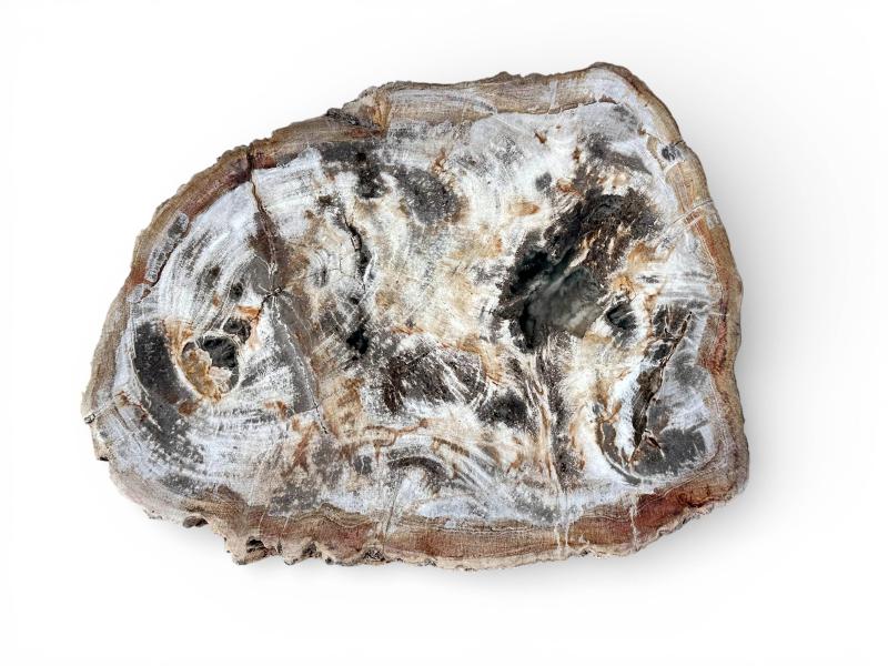 BEISTELLTISCH AUS VERSTEINERTEM HOLZ BLANCHE