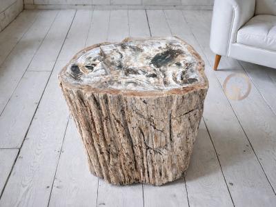 TAVOLINO IN LEGNO FOSSILIZZATO BLANCHE