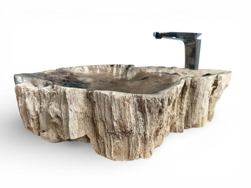VASQUE DE BAIN EN BOIS FOSSILISE BANUS