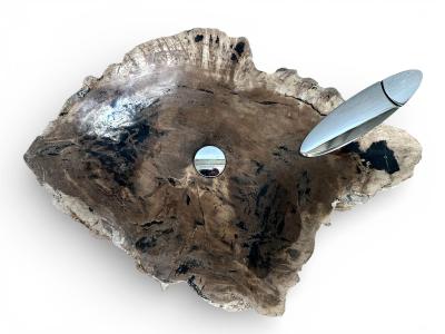 FOSSILIZED WOODEN WASHBASIN BANUS