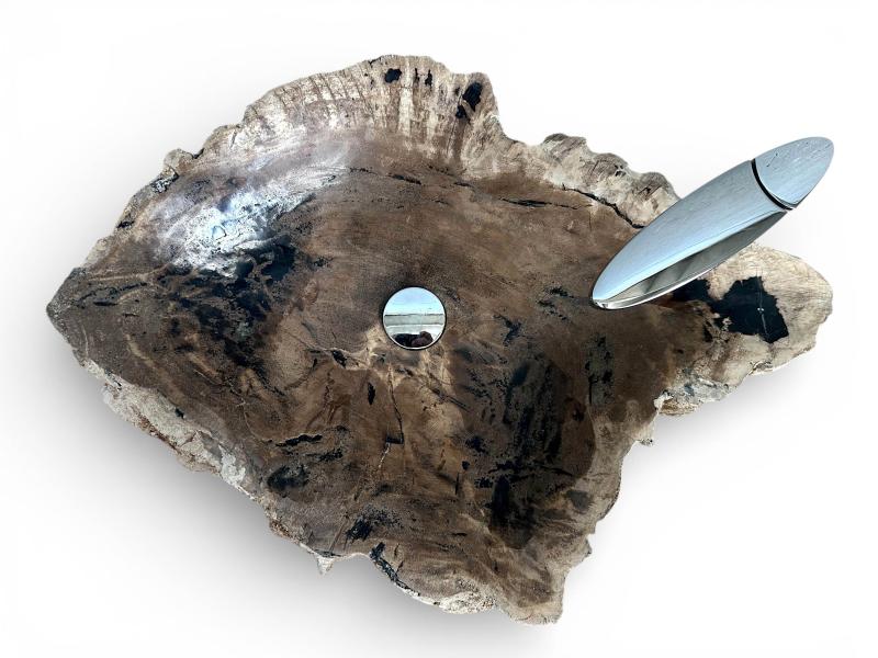 VASQUE DE BAIN EN BOIS FOSSILISE BANUS