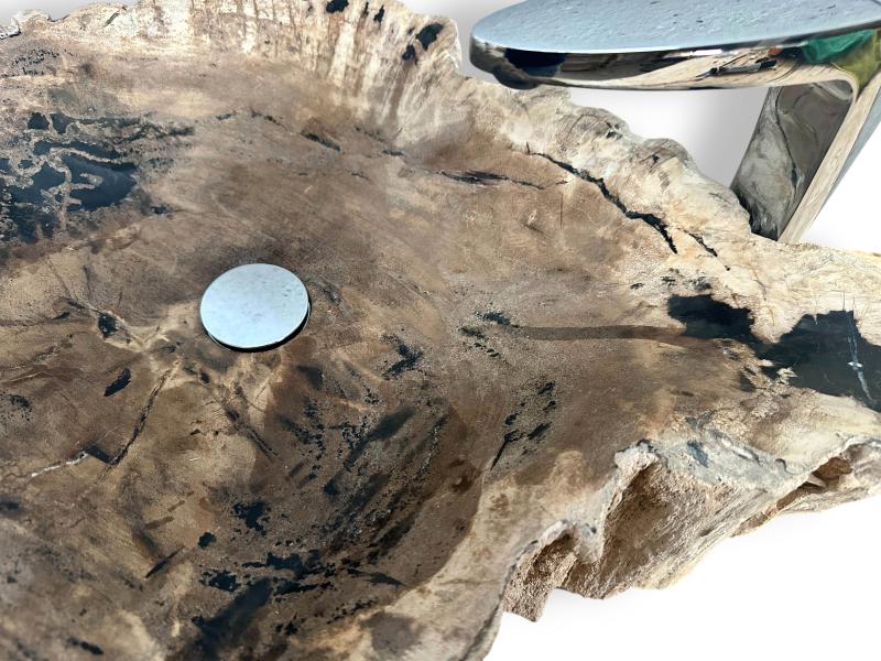 VASQUE DE BAIN EN BOIS FOSSILISE BANUS
