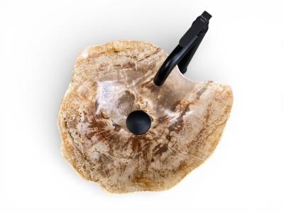 WASCHBECKEN AUS FOSSIL HOLZ MOLDAVA