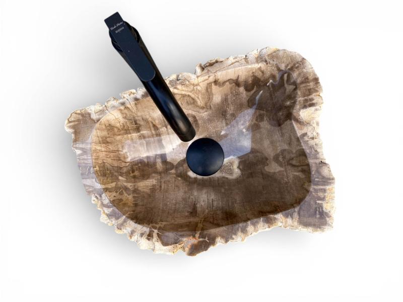 FOSSILIZED WOODEN SINK GIANNI