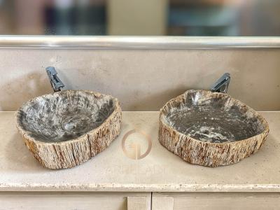 DEUX VASQUES JUMEAUX EN BOIS PETRIFIE MARKUS