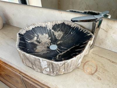 RUSTIKALES WASCHBECKEN AUS VERSTEINERTEM HOLZ GOLD