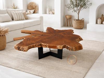 EXOTIC COFFEE TABLE BELICE