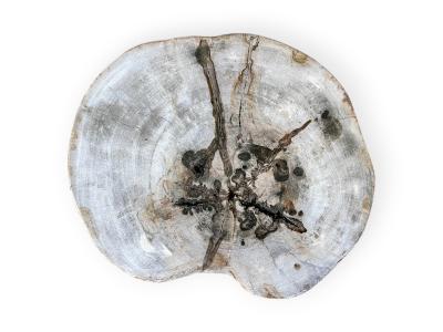 BEISTELLHOCKER AUS VERSTEINERTEM HOLZ SES SALINES