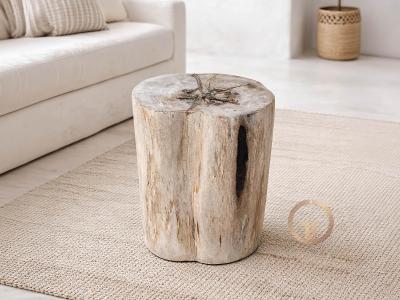 BEISTELLHOCKER AUS VERSTEINERTEM HOLZ SES SALINES