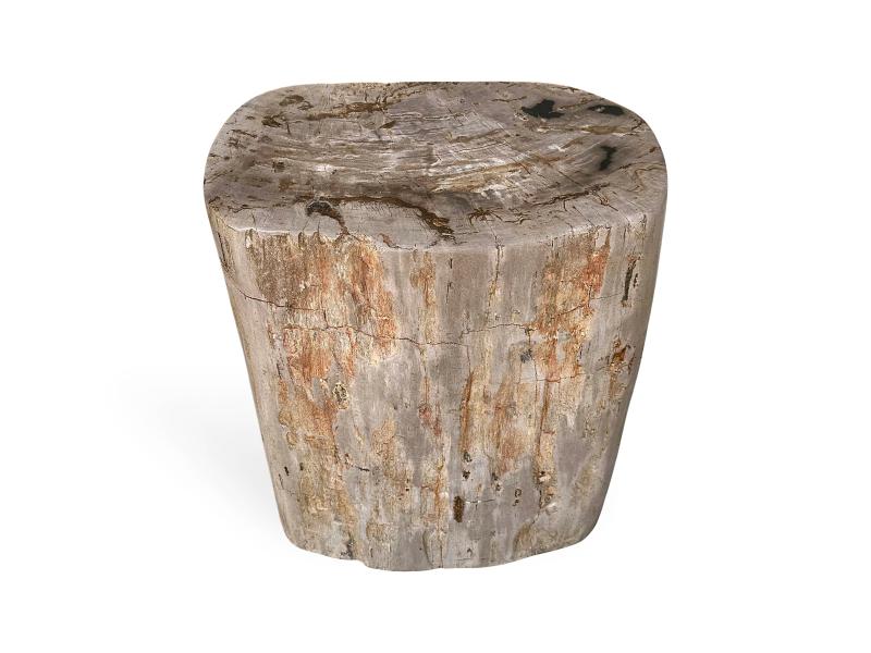 ORGANISCHER HOCKER AUS NATURLICHEM VERSTEINERTEM HOLZ