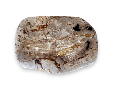 SGABELLO ORGANICO IN LEGNO PIETRIFICATO NATURALE