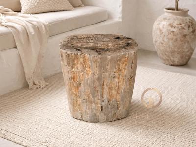TABOURET ORGANIQUE EN BOIS PETRIFIE NATUREL