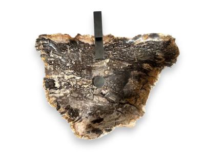 PRETRIFIED WOOD WASHBASIN MALIBU