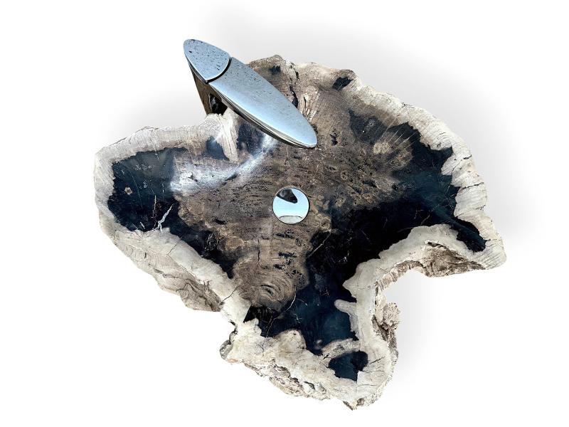 PETRIFIED WOOD SINK HAMILTON