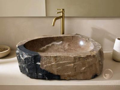 FOSSILIZED WOODEN WASHBASIN MOANDA