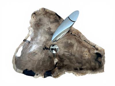 VASQUE DE BAIN EN BOIS FOSSILISE AGANOA