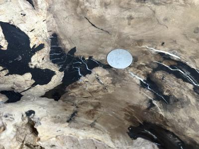 LAVANDINO IN LEGNO FOSSILE CARL