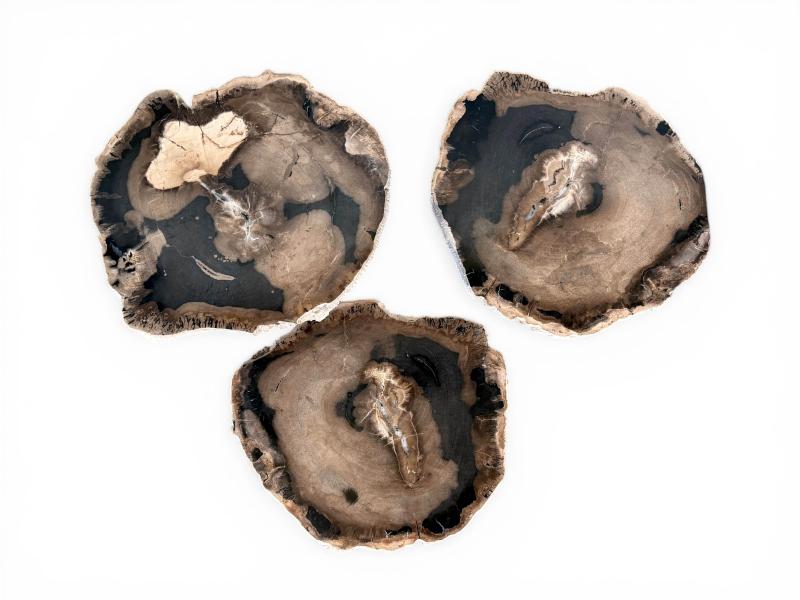 TRIO DE MESAS DE CENTRO DE MADERA PETRIFICADA OLTRANTO