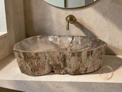 PETRIFIED WOOD SINK CARINTIA