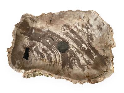 VASQUE DE BAIN EN BOIS FOSSILISE PARDUS