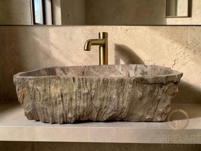 FOSSILIZED WOODEN WASHBASIN PARDUS