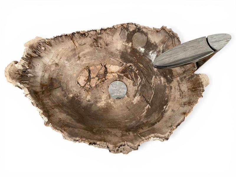DESIGN-WASCHBECKEN AUS VERSTEINERTEM HOLZ MOON
