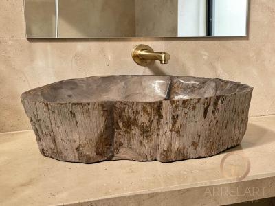 PETRIFIED WOOD WASHBASIN MONTANA