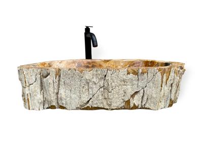 VERSTEINERTES HOLZ WASCHBECKEN LEGIAN