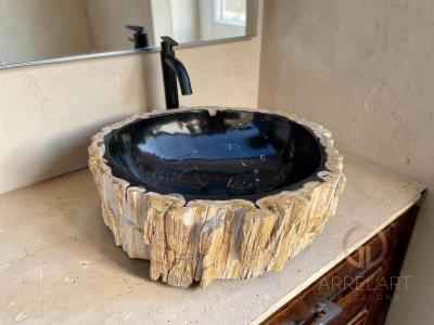 PETRIFIED WOOD SINK WAGNER