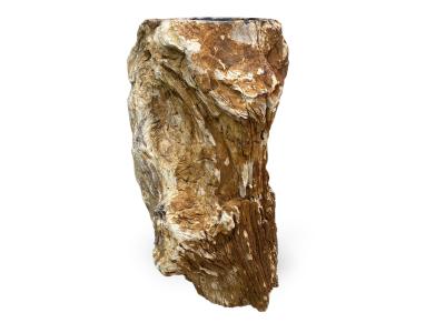 VASQUE SUR PIED MAJESTUEUSE EN BOIS PETRIFIE MALAWI