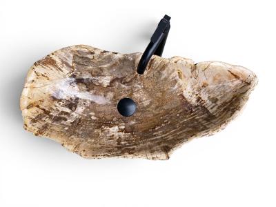 VASQUE DE BAIN EN BOIS FOSSILISE LEGIAN