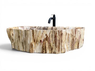 VASQUE DE BAIN EN BOIS FOSSILISE LEGIAN