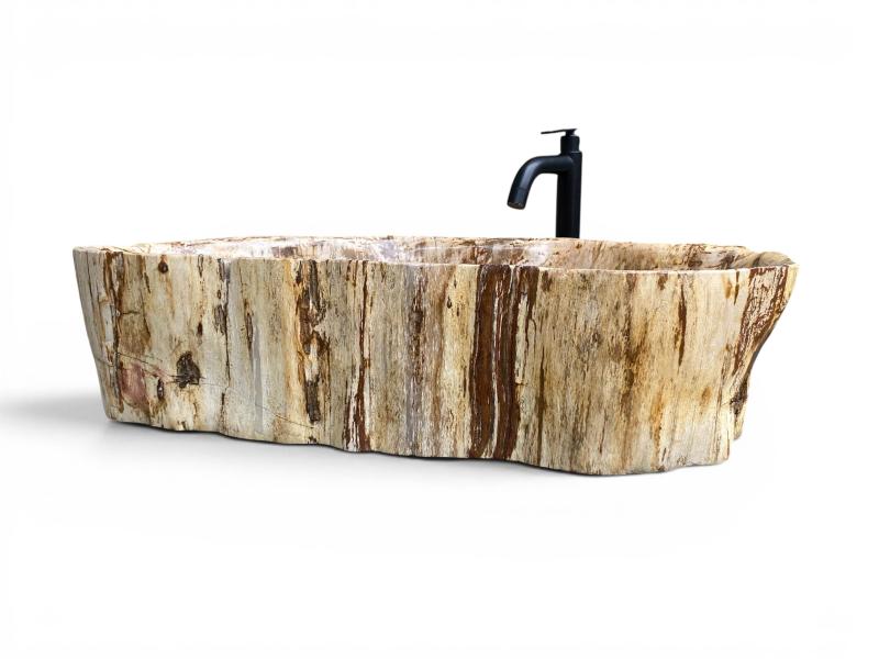 VASQUE DE BAIN EN BOIS FOSSILISE LEGIAN