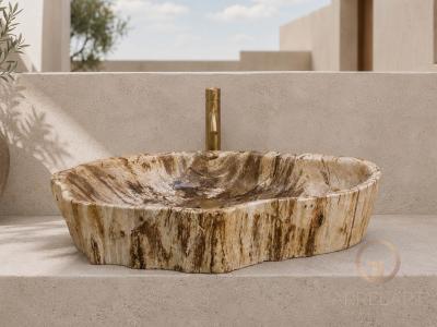 FOSSILIZED WOODEN WASHBASIN LEGIAN